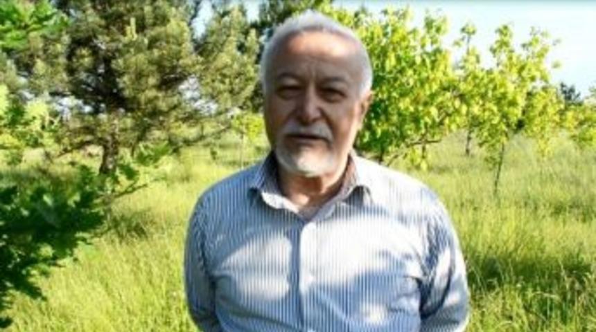 &Ccedil;orlu'da Herkesin Bir Dikili Ağacı Var