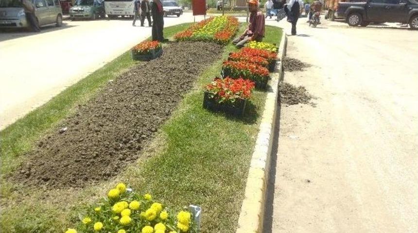 Hayrabolu Belediyesi İl&ccedil;eyi &Ccedil;i&ccedil;eklendiriyor