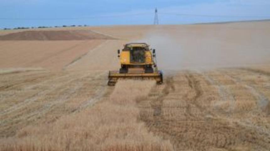 Hilvan&rsquo;da Hasat Zamanı