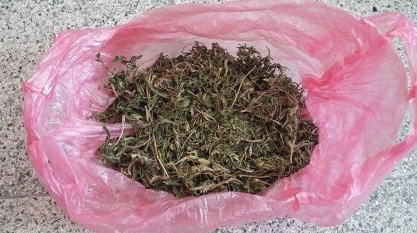 Jandarma Uyuşturucu Satıcılarına G&ouml;z A&ccedil;tırmıyor