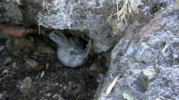 Esrar Tacirleri Tutuklandı G3