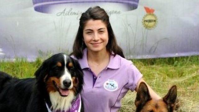 Köpekli Sporlara Champıon Desteği