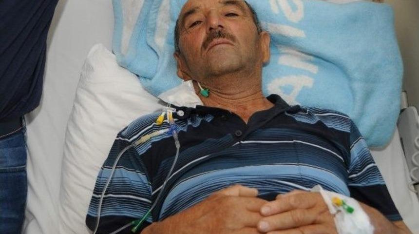 20 Yıllık Diyaliz Hastasına 'piyango' Gibi Organ Nakli