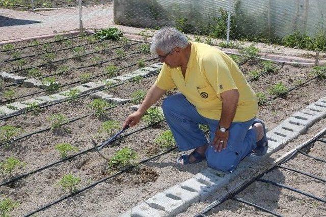 Büyükşehirle Bağlan Hayata