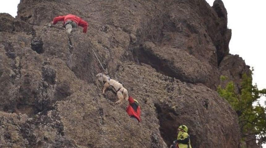 Akut'tan Ke&ccedil;i Kurtarma Operasyonu