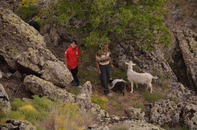 Akut tan Ke&ccedil;i Kurtarma Operasyonu 3