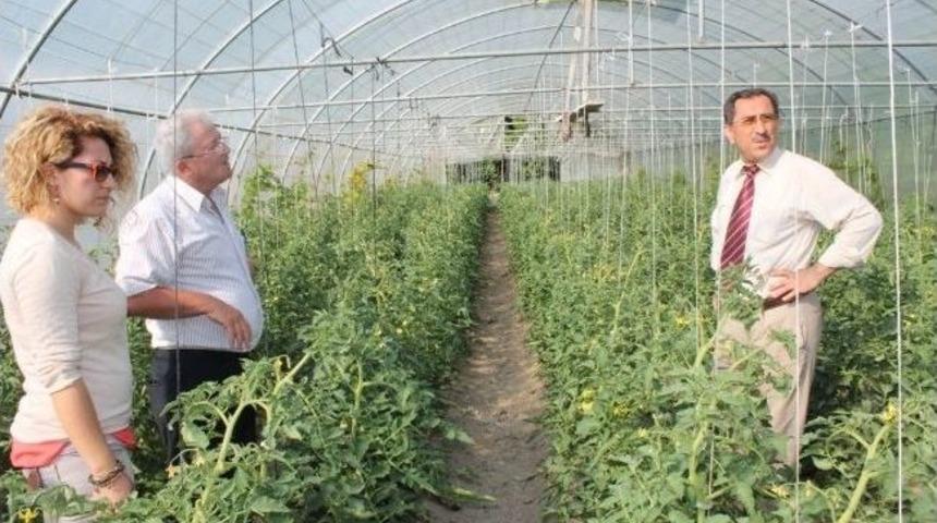 &Ccedil;ift&ccedil;ilere Yapışkan Tuzak Dağıtıldı