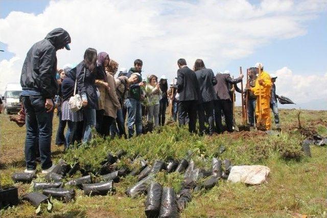 301 Soma Şehidi İçin Aziziye Tabyalarında 2 Bin 400 Fidan Dikildi