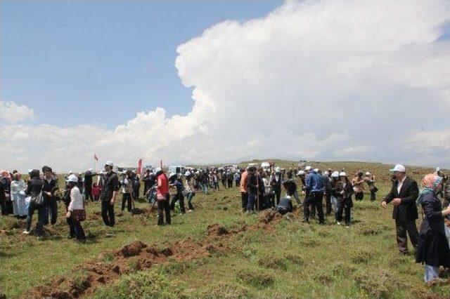 301 Soma Şehidi İçin Aziziye Tabyalarında 2 Bin 400 Fidan Dikildi