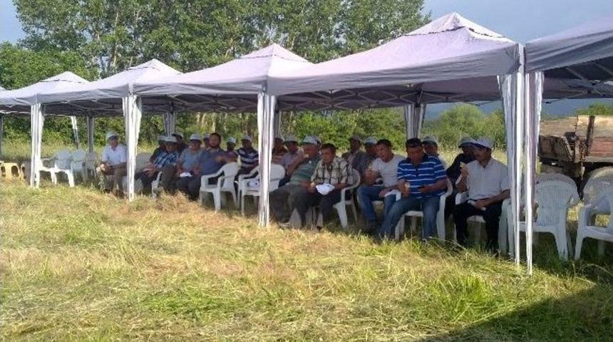 Bayrami&ccedil;&rsquo;te Elma &Uuml;reticisine Eğitim Semineri