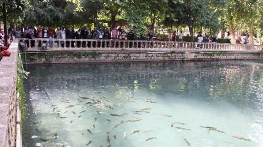 Halk Eğitim Kursiyerlerine Urfa, Mardin Antep Gezisi