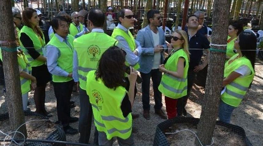 Aıph Y&ouml;neticileri İncelemelerini Tamamladı