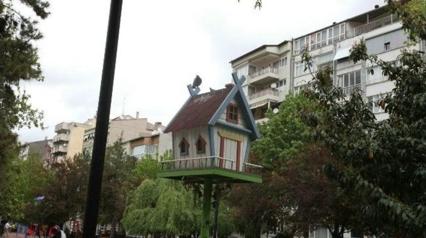 Parklar &Ouml;zel Kuş Yuvaları İle Daha G&uuml;zel