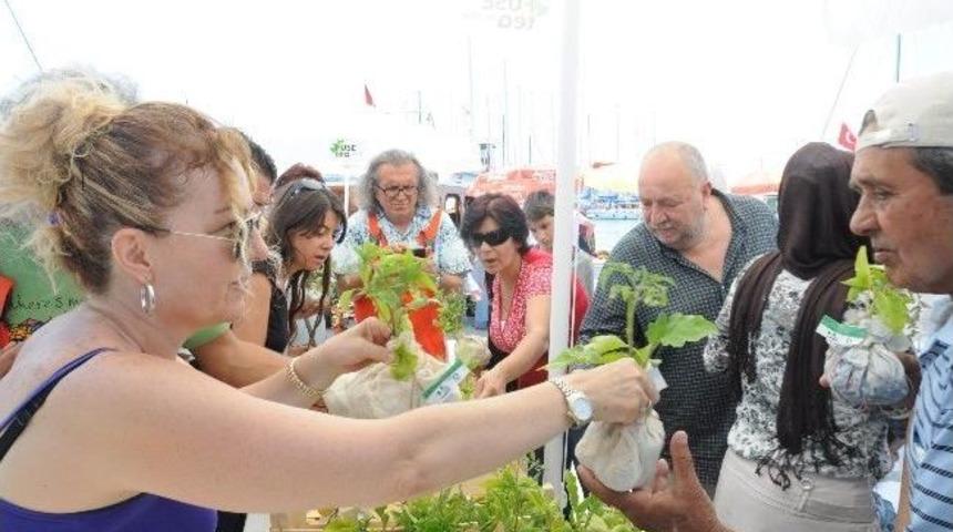 Bodrum Fide Şenliği İle Yerel Tohum &Uuml;retimine Teşvik