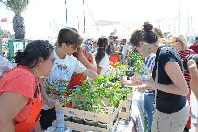 Bodrum Fide Şenliği İle Yerel Tohum Üretimine Teşvik