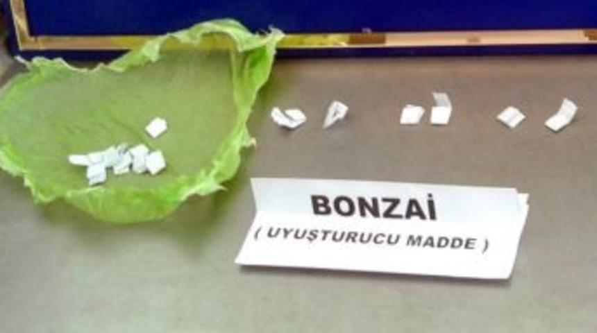 Jandarma&rsquo;dan 'bonzai' Operasyonu