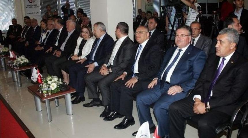 300 Milyon Metrekare Halı G&ouml;r&uuml;c&uuml;ye &Ccedil;ıktı