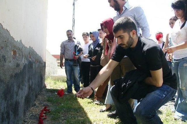 Üniversite Öğrencileri Cennet’in Öldürüldüğü Yere Karanfil Bıraktı