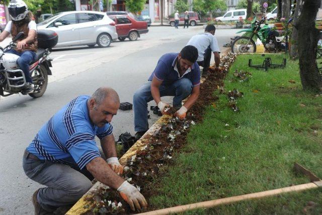 Arhavi'de Çevre Düzenlemesi Çalışmaları