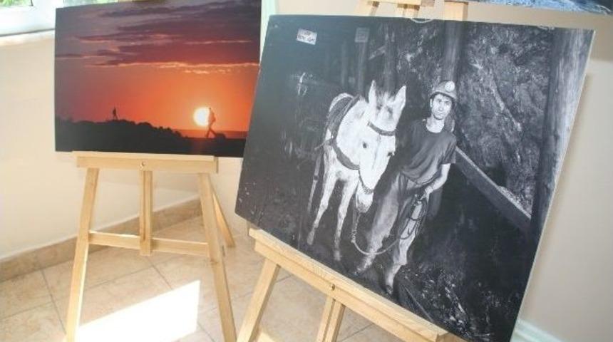 Devrekli Avukattan Fotoğraf Sergisi