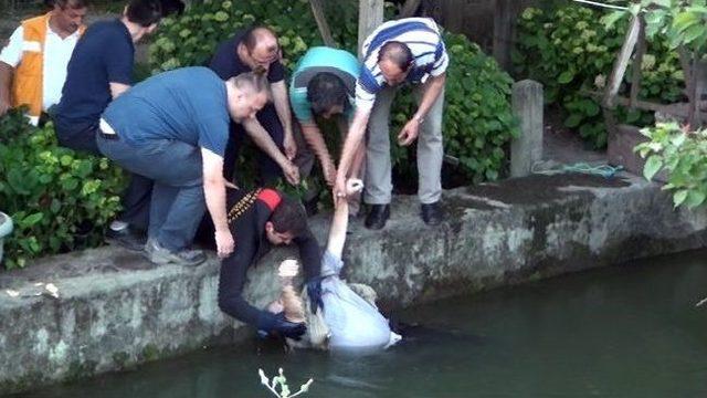 Düzce’de Derede Erkek Cesedi Bulundu