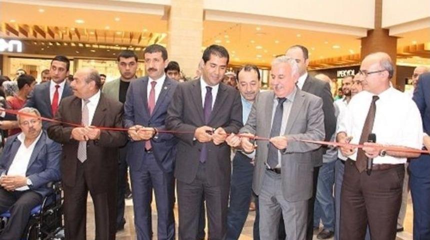 Piazza'da Y&ouml;resel Yemekler Ve Kuşlar Sergisi