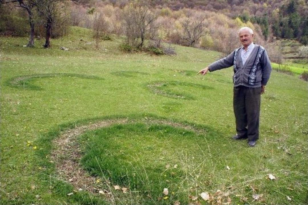 Tarlada Hilal Oluştu