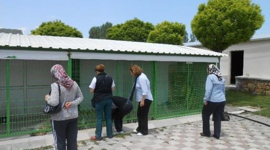 Burdurlu Hayvanseverlerden Eskişehir Hayvan Barınaklarını İnceledi