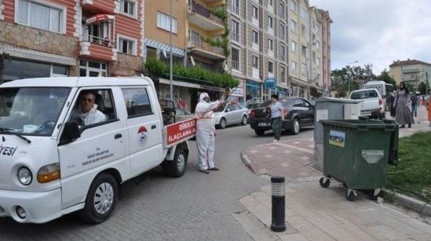 S&ouml;ğ&uuml;t Belediyesi'nden Sinek Ve Larvalarla M&uuml;cadele