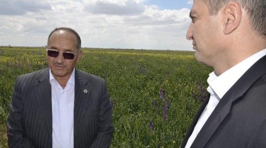 "tarım Arazilerinin B&ouml;l&uuml;nmemesi Ger&ccedil;ek Bir Reformdur"