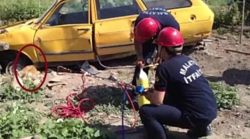 Hurda Aracın Altında Sıkışan K&ouml;peği İtfaiye Ekipleri Kurtardı