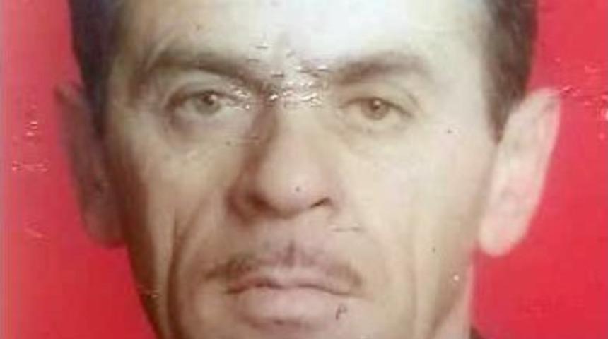 Budamak İ&ccedil;in &Ccedil;ıktığı &Ccedil;ınar Ağacından D&uuml;şt&uuml;