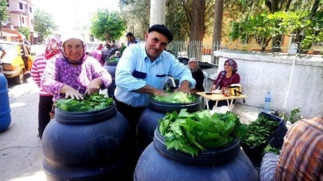 Sarıg&ouml;l&rsquo;de Sarma Yaprağının Kilosu 1.50 Tl