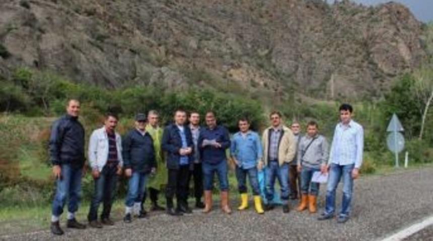 Bilirkişi Heyetinin Kene Korkusu