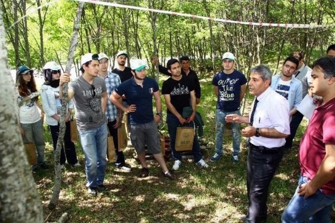 Eskişehir, Orman Fak&uuml;ltelerinin G&ouml;zdesi Oldu