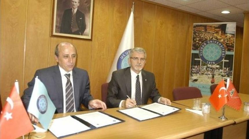 &Ccedil;ilek İle &Uuml;niversite İşbirliği