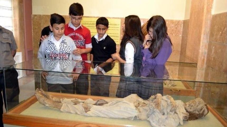 Sarışın Rahibe Mumyası B&uuml;y&uuml;k İlgi G&ouml;r&uuml;yor