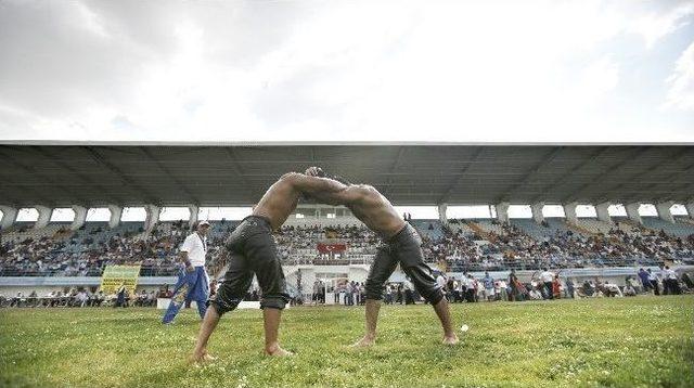 Sincan Yağlı Güreşleri İçin Geri Sayım Başladı 1