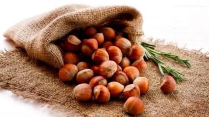 Fındık Satışı Tahminleri Aştı