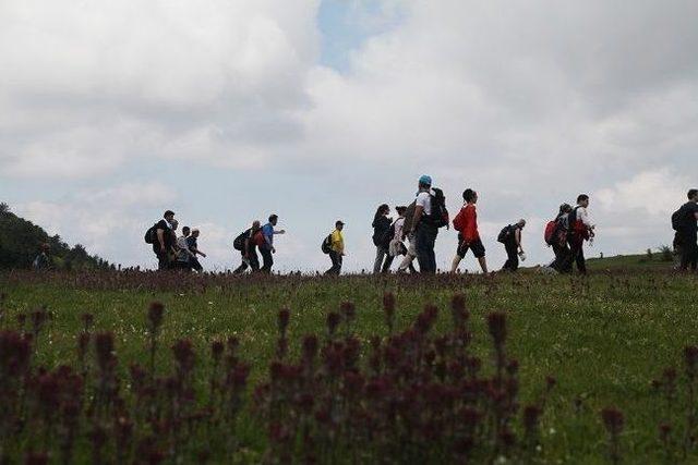 Bahar Yürüyüşleri Sona Erdi