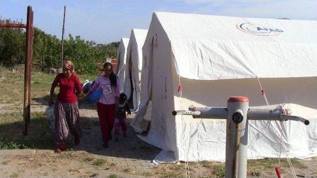 Deprem Mağdurları Konteyner İstiyor