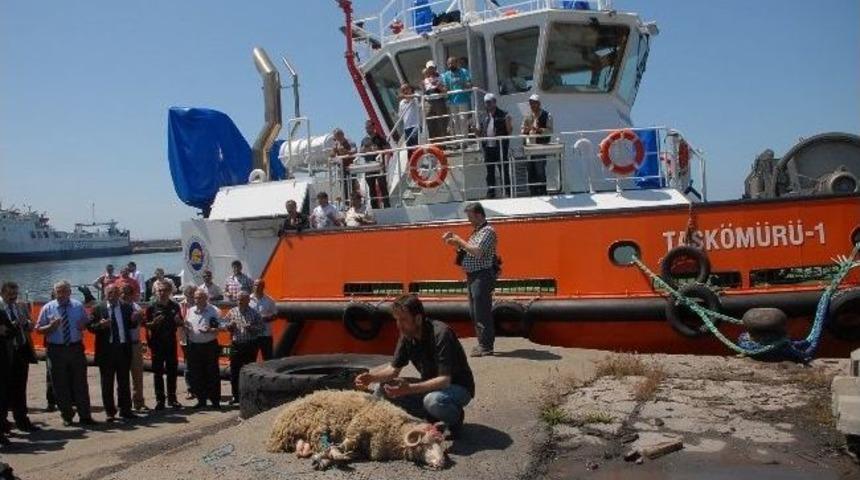 Zonguldak Limanına &Uuml;&ccedil; Milyon Euroluk R&ouml;mork&ouml;r