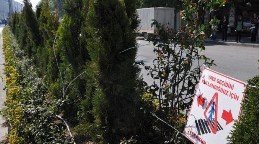 Boz&uuml;y&uuml;k'te Orta Ref&uuml;j &Ccedil;alışması Sabote Ediliyor