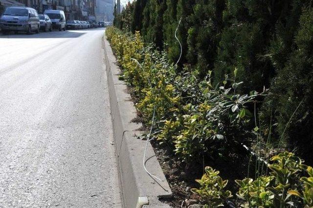 Bozüyük'te Orta Refüj Çalışması Sabote Ediliyor