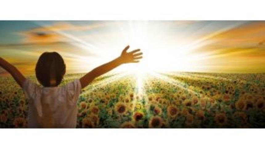 May Tohum&rsquo;un İhracat Ve Teknoloji Transfer Gelirlerinde Rekor Artış