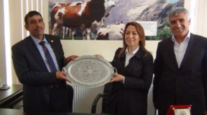 &Ccedil;alık: &ldquo;hayvancılık Osb İ&ccedil;in Yer Belirlendi&rdquo;