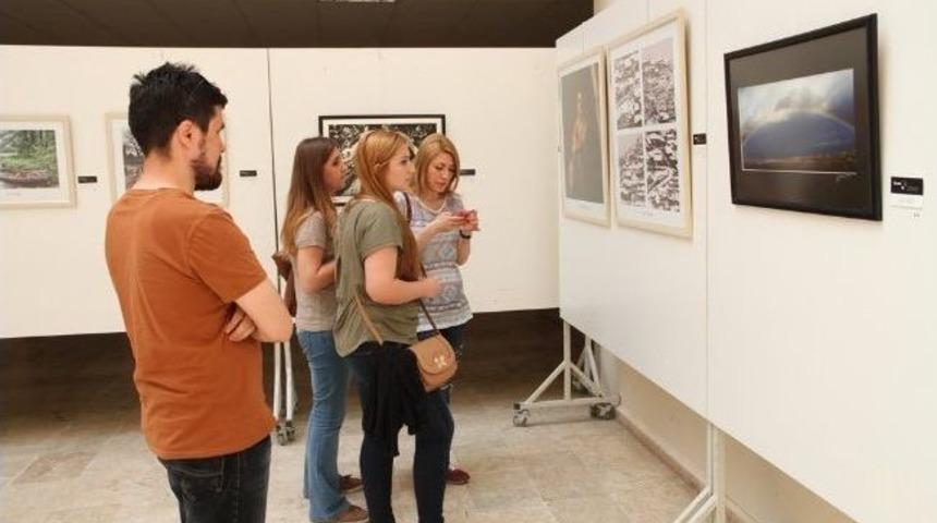 Pa&uuml;&rsquo;den Soma Yararına Sergi