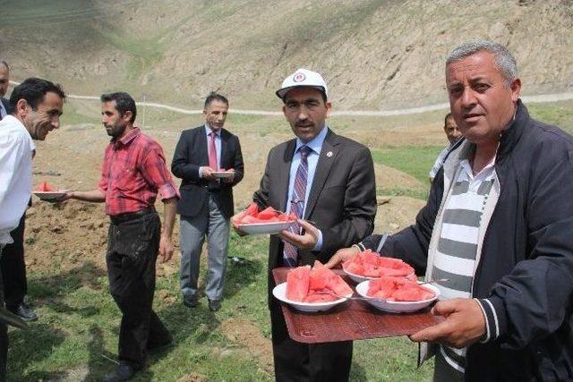 Hakkari Üniversitesi Kampüsünde Hummalı Çalışma