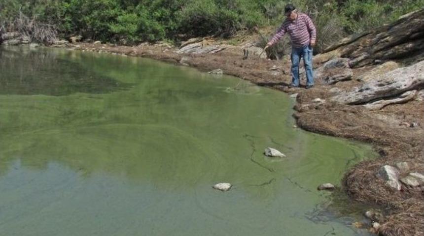 Chp'li Baydar, Bafa&rsquo;yı Meclis G&uuml;ndemine Taşıdı