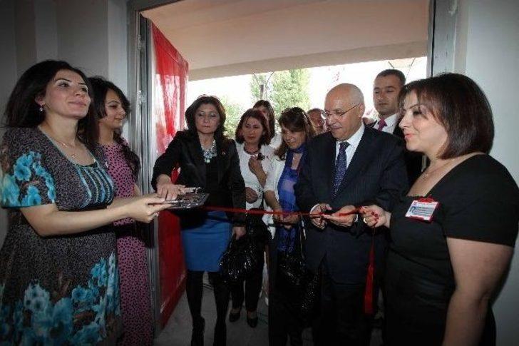 Yenimek’te Tatlı Bir Telaş G1